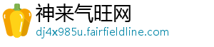 神来气旺网